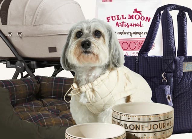 gifts for dogs collage