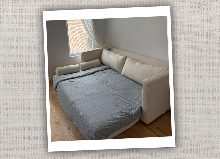 article sven sleeper review cat