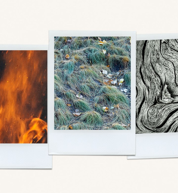 chinese zodiac elements universal