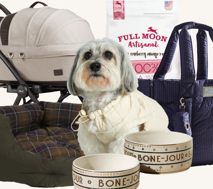gifts for dogs collage