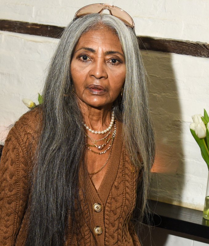 gray blending for dark hair chunky highlights