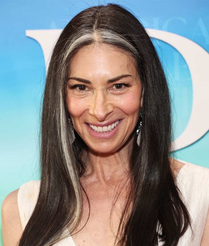 gray blending for dark hair money piece