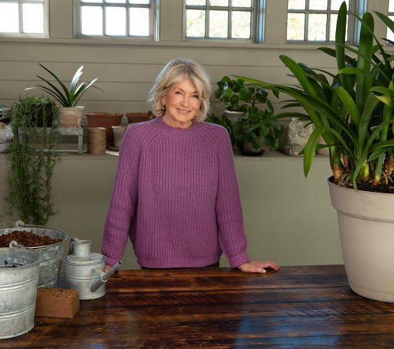 martha stewart anti aging secret stewart at potting table cat
