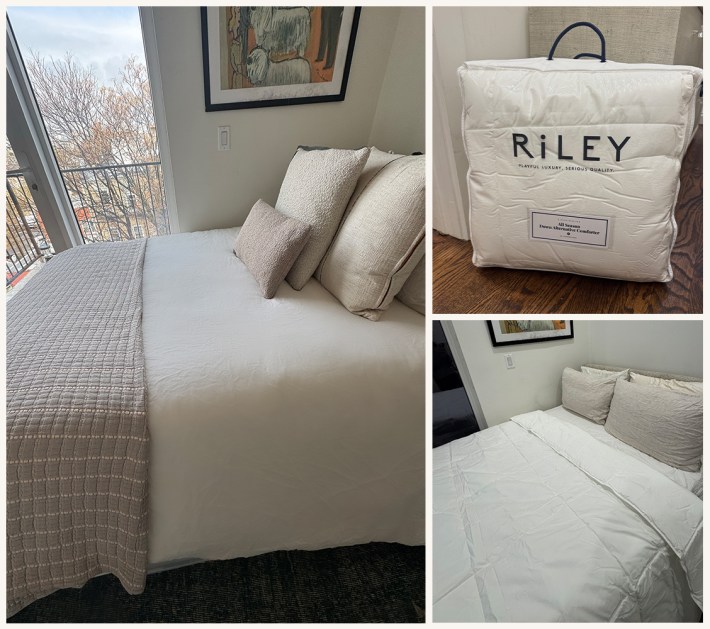 riley home review cat